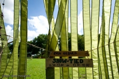 fvvf2010_005_1